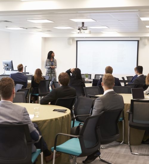 Businesswoman Making Presentation At Conference